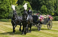 K R M Horse Drawn Carriage Services 1100883 Image 1